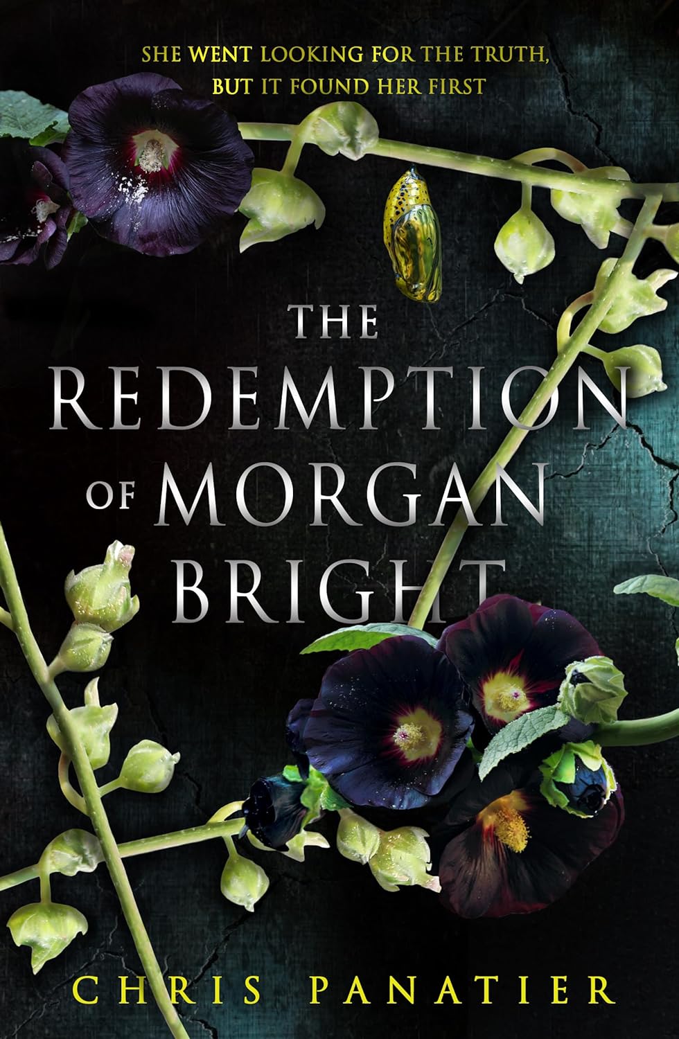 Chris Panatier: Redemption of Morgan Bright (2024, Watkins Media Limited)